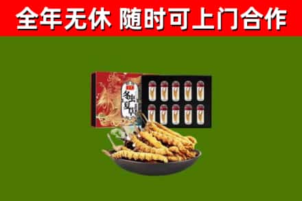 南昌县回收冬虫夏草价格